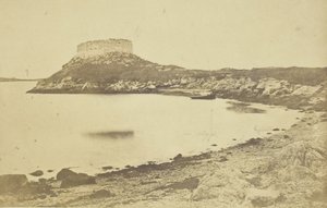 Fort Dumplings