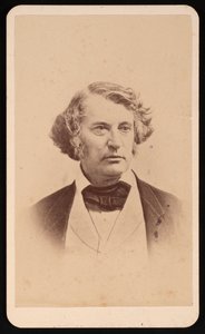 Portret van Charles Sumner 1811-1874, voor 1874