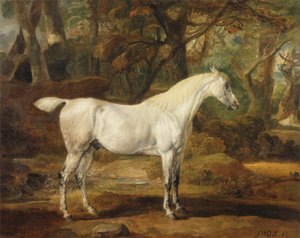 Een grijze Arabische hengst, eigendom van Sir Watkin Williams-Wynn, ca. 1815-20