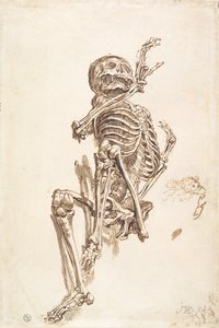 Een Menselijk Skelet (recto)
