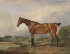 Een Jager in een Landschap