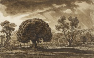 Een Naderende Storm door James Ward