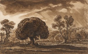 Een Naderende Storm door James Ward