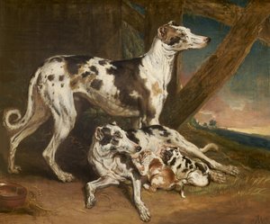 Dalmatische honden door James Ward