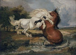 Vechtende paarden door James Ward