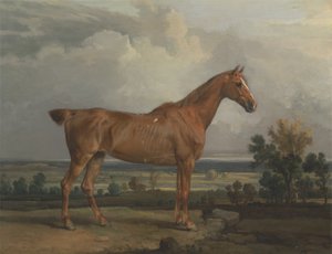 Jager in een landschap