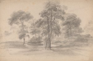 Landschap met bomen