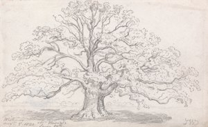 De grote eik van meneer Howard, 5 augustus 1820