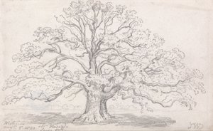 De Grote Eik van Meneer Howard, 5 Augustus 1820