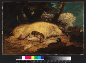 Varkens, niet voor 1793 door James Ward