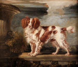 Portret van Dash, een favoriete spaniël, eigendom van Lady Frances Vane-Tempest door James Ward