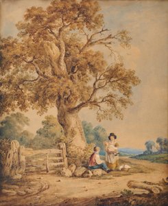 Landelijk tafereel door James Ward