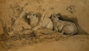 Schapen rustend in een beboste kreupelbos en een studie van het hoofd van een schaap