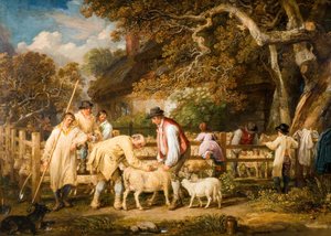 Schapen Zalven, 1828