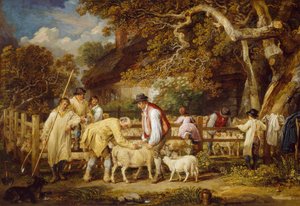 Schapen zalven, 1828