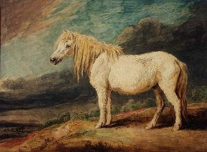 Shetlandpony door James Ward
