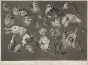 Studies uit de Natuur, 1807
