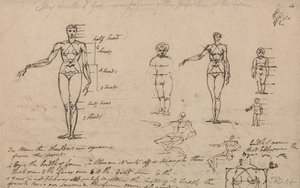 Anatomiestudies, metingen en schrijven door James Ward