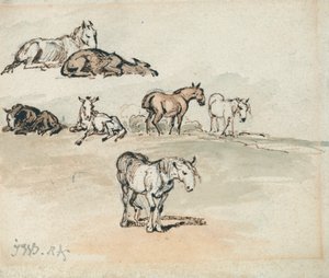 Studies van Paarden door James Ward