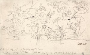 Studies van planten, 2 augustus 1815