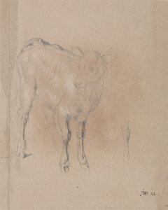 Studie van een Kalf door James Ward