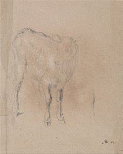 Studie van een kalf door James Ward