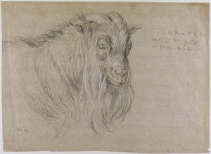 Studie van het Hoofd van een Ram door James Ward