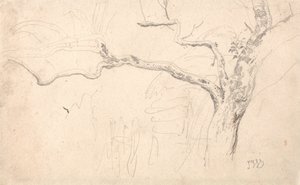 Bomenstudie door James Ward