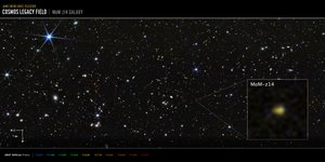 COSMOS-veld, sterrenstelsel op MoM-z14 (opname met NIRCam) door James Webb Space Telescope (NASA)