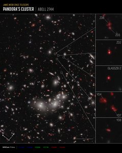 Galaxie Protocluster (NIRCam Kompasbeeld)