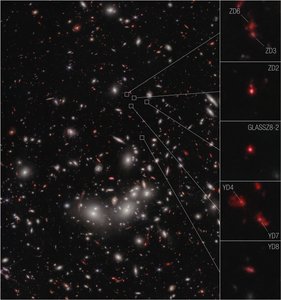 Galaxie Protocluster (NIRCam Beeld)