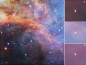 Kleine objecten in de Vlamnevel (NIRCam-opname) door James Webb Space Telescope (NASA)