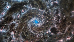 Het Hart van de Fantoomgalaxie door James Webb Space Telescope (NASA)