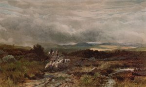Bergweg, Capel Curig, Noord-Wales door James William Whitaker