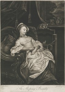 Doornroosje