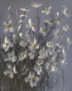 Dromerige witte bloemen door James Zamora