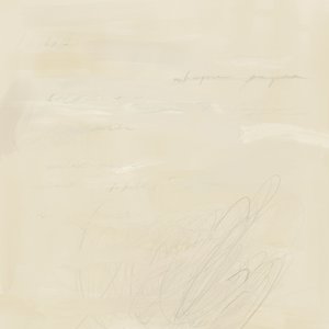Vervaagde abstracte teksten door James Zamora