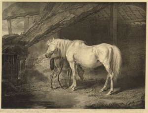 Primrose en veulen, uit Beroemde paarden, een set van veertien raceprenten gepubliceerd door de kunstenaar, 1823-24