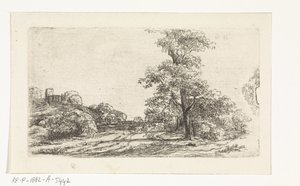 Landschap met een boom