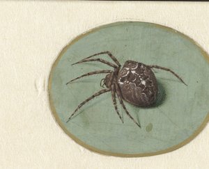 Spin door Jan Augustin van der Goes