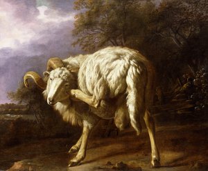 Een ram in een bebost landschap door Jan Baptist Weenix