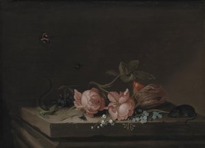 Bloemen