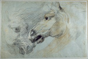 Twee studies van een paardenhoofd