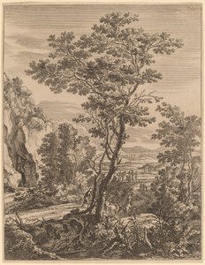 De grote boom
