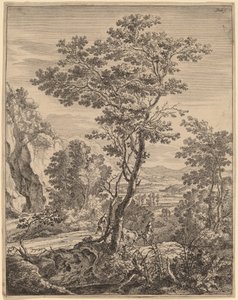 De Grote Boom