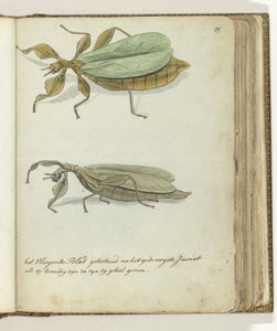 Het Vliegende blad door Jan Brandes