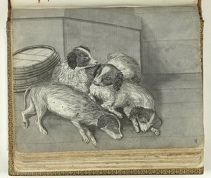 Honden door Jan Brandes