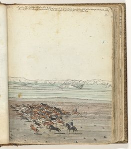 Kudde paarden