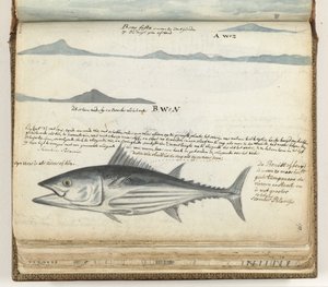 Kustprofielen van de Canarische Eilanden. Vis. door Jan Brandes
