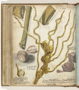 Methodes voor het maken van sirih